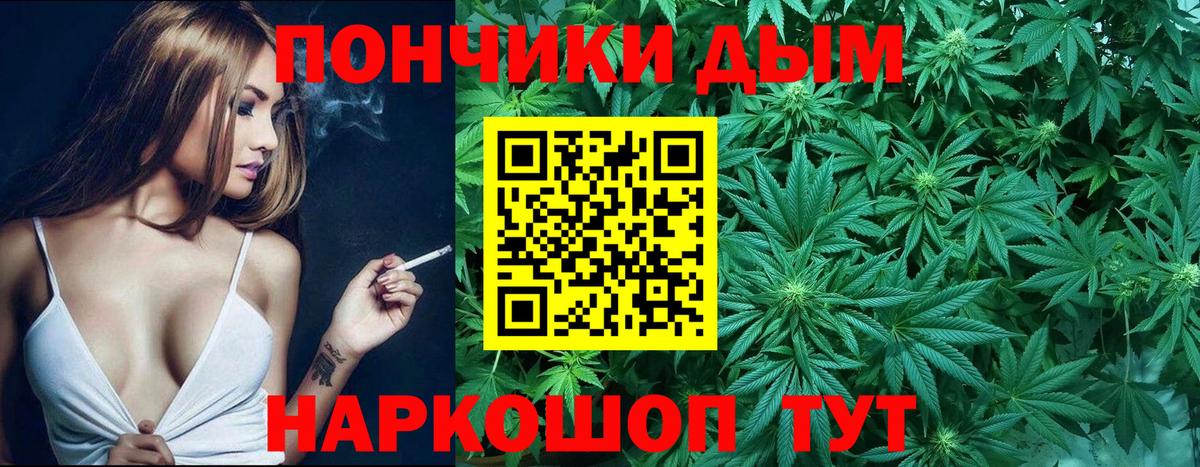 Бошки Шишки VHQ  Вход с VPN  Шишки марихуана сатива  Шебекино  Бошки Шишки конопля 